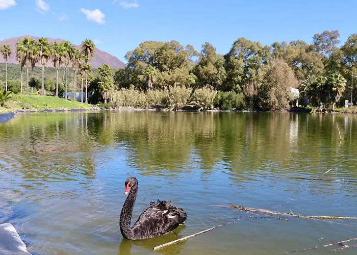 Golf Resort, Pool, Bbq, Massive Sunny Terrace With Mountain Views * 에스테포나